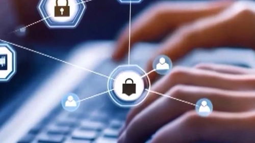 AI養龍蝦走紅背后的隱憂 警惕信息泄露與網絡安全風險